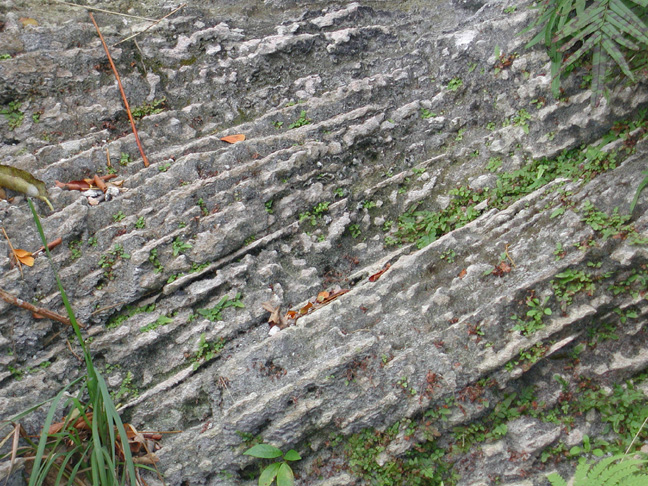 Geological Studies for Limestone Outcrops